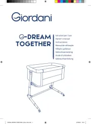 Giordani
