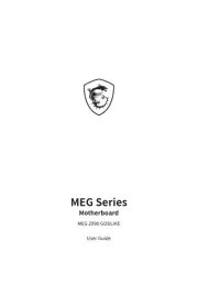 MSI