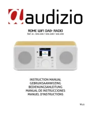 Audizio