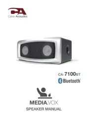 Cyber Acoustics