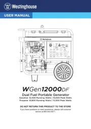 Westinghouse