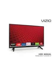 Vizio