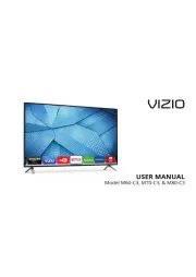 Vizio
