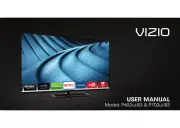 Vizio