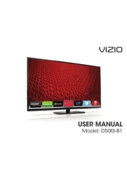 Vizio