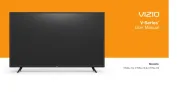Vizio