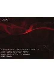 Vizio