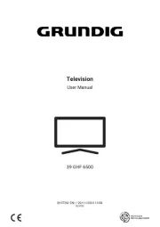 Grundig