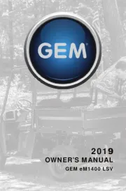 GEM
