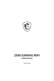 MSI