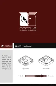 Noctua