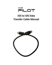 AMZ Pilot