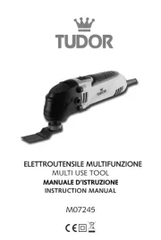 Tudor