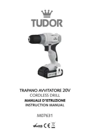 Tudor