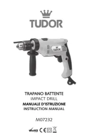 Tudor