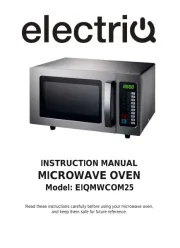 ElectriQ