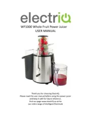 ElectriQ