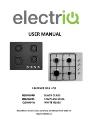 ElectriQ