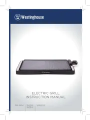Westinghouse