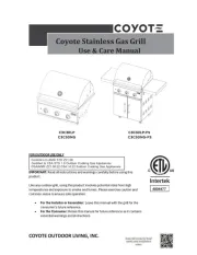 Coyote