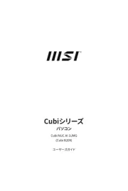 MSI