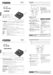 Fostex