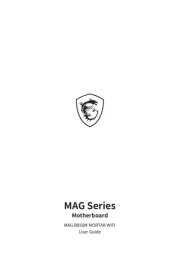 MSI