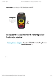 Energizer