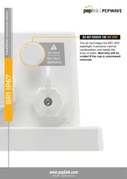 Peplink