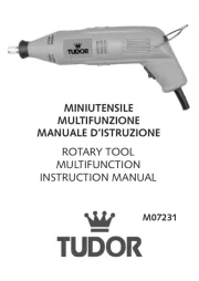 Tudor