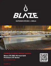 Blaze