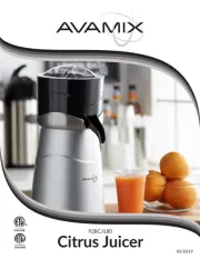 AvaMix