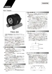 Fostex