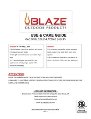 Blaze