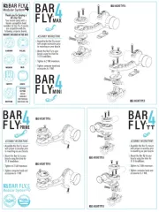 Bar Fly
