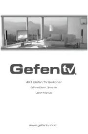 Gefen