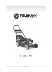 Fieldmann