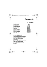 Panasonic