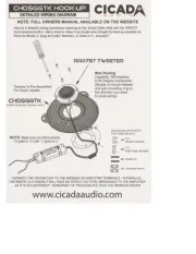 Cicada Audio