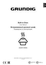 Grundig