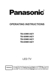 Panasonic