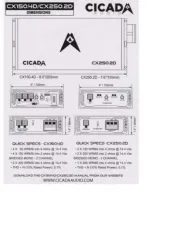 Cicada Audio