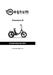 Magnum