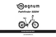 Magnum