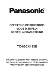 Panasonic