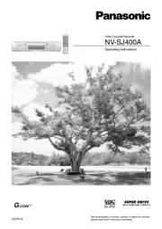 Panasonic