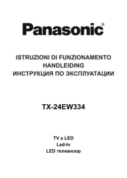 Panasonic