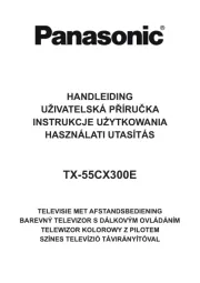 Panasonic