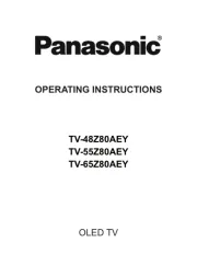 Panasonic