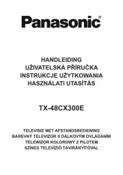 Panasonic